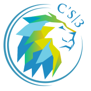 CS3 Consulting